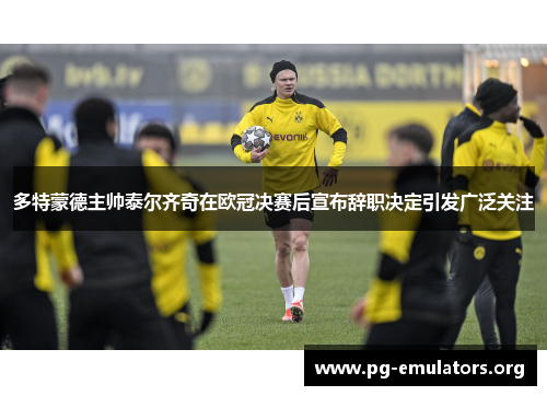 多特蒙德主帅泰尔齐奇在欧冠决赛后宣布辞职决定引发广泛关注