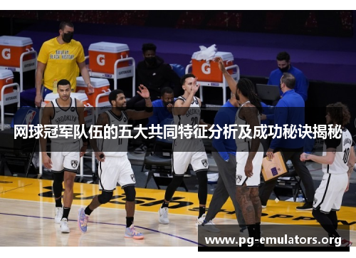 网球冠军队伍的五大共同特征分析及成功秘诀揭秘